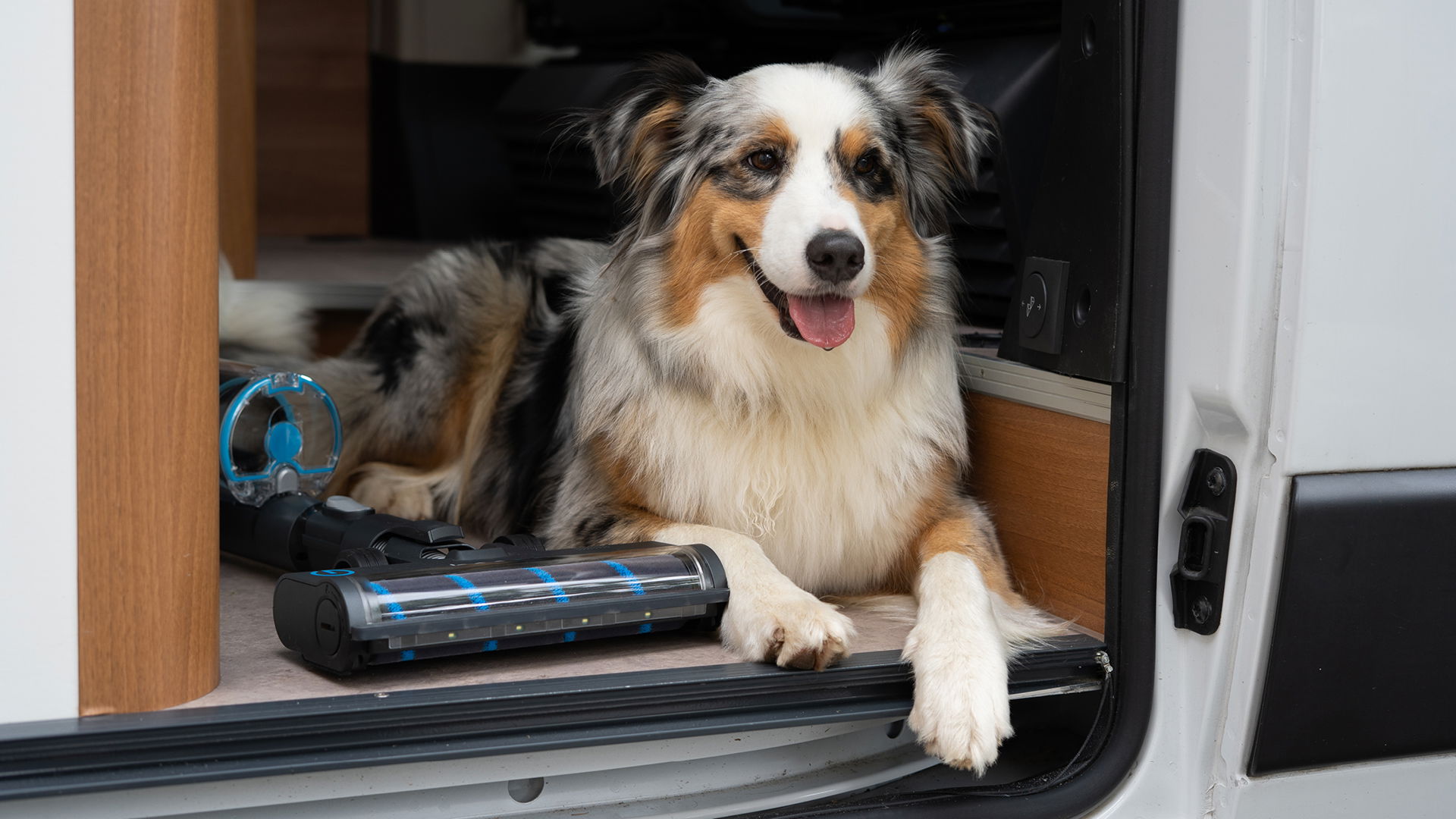 Hund-und-Stielstaubsauger-im-Campingvan
